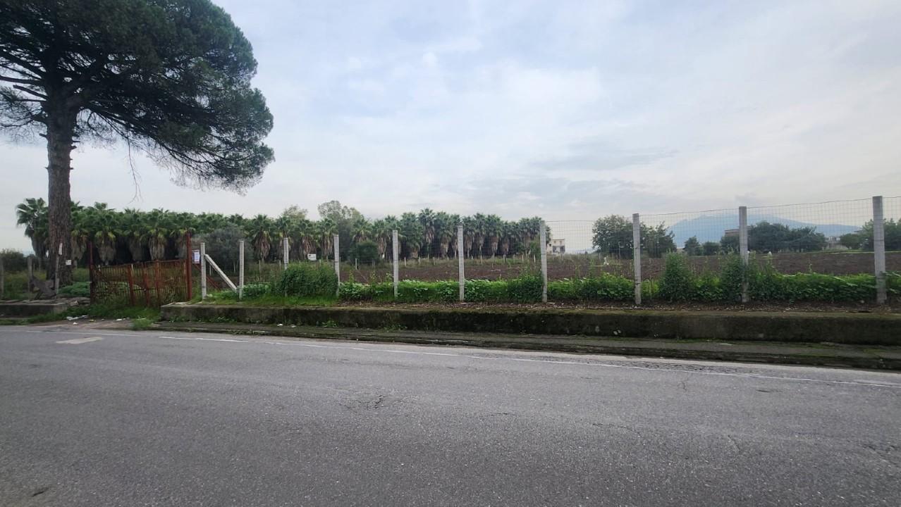 Vendita Loft, mansarde e attici, Afragola foto