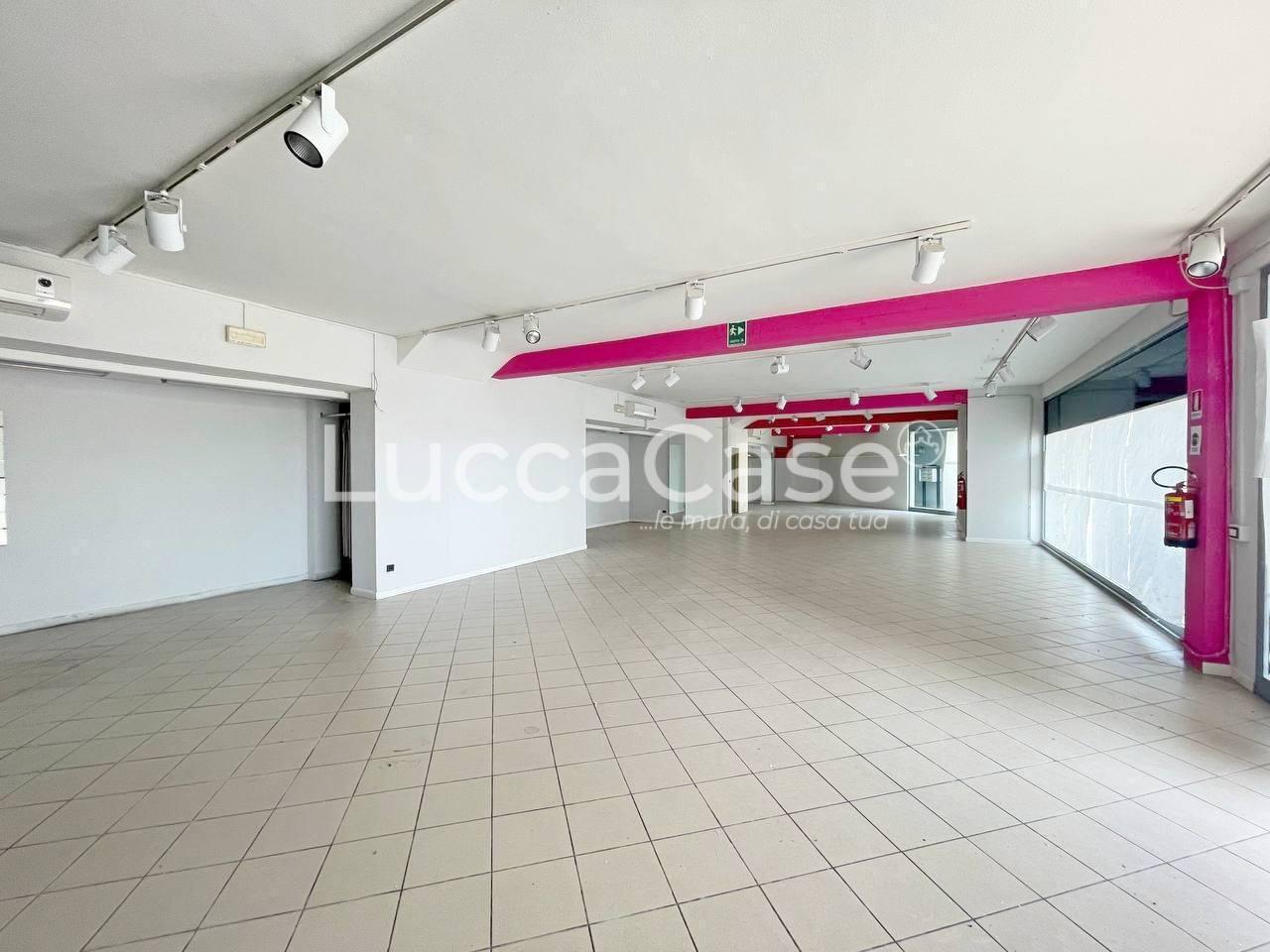 Affitto Locale commerciale, Lucca Affitto Locale commerciale, Lucca foto