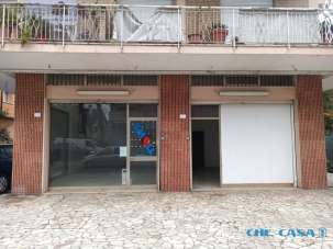 Vendita Bivani, Rimini Vendita Bivani, Rimini