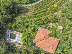 Vendita Pentavani, San Biagio della Cima Vendita Pentavani, San Biagio della Cima