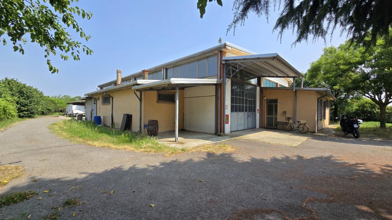 Vendita Pentavani, Miradolo Terme Vendita Pentavani, Miradolo Terme foto