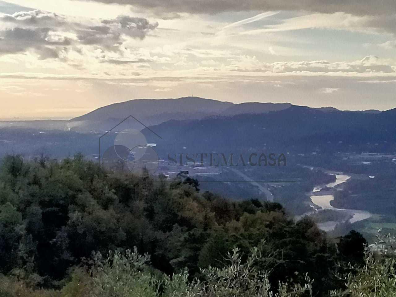 Vendita Pentavani, Calice al Cornoviglio foto