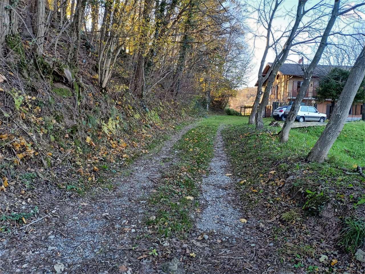 Vendita vendita, Viggiu foto