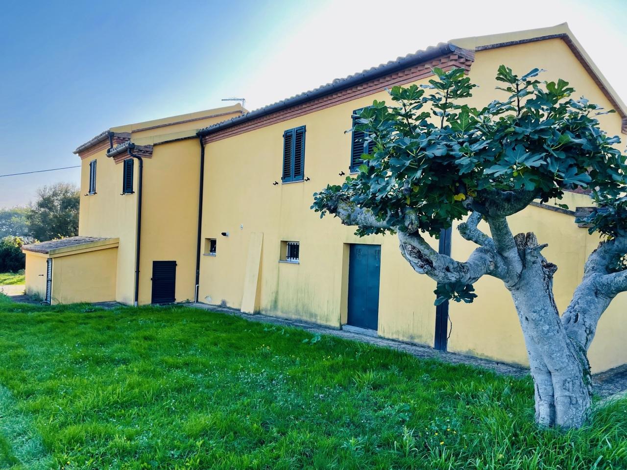 Vendita Multivani, Camerano foto