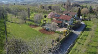 Vendita Esavani, Cherasco