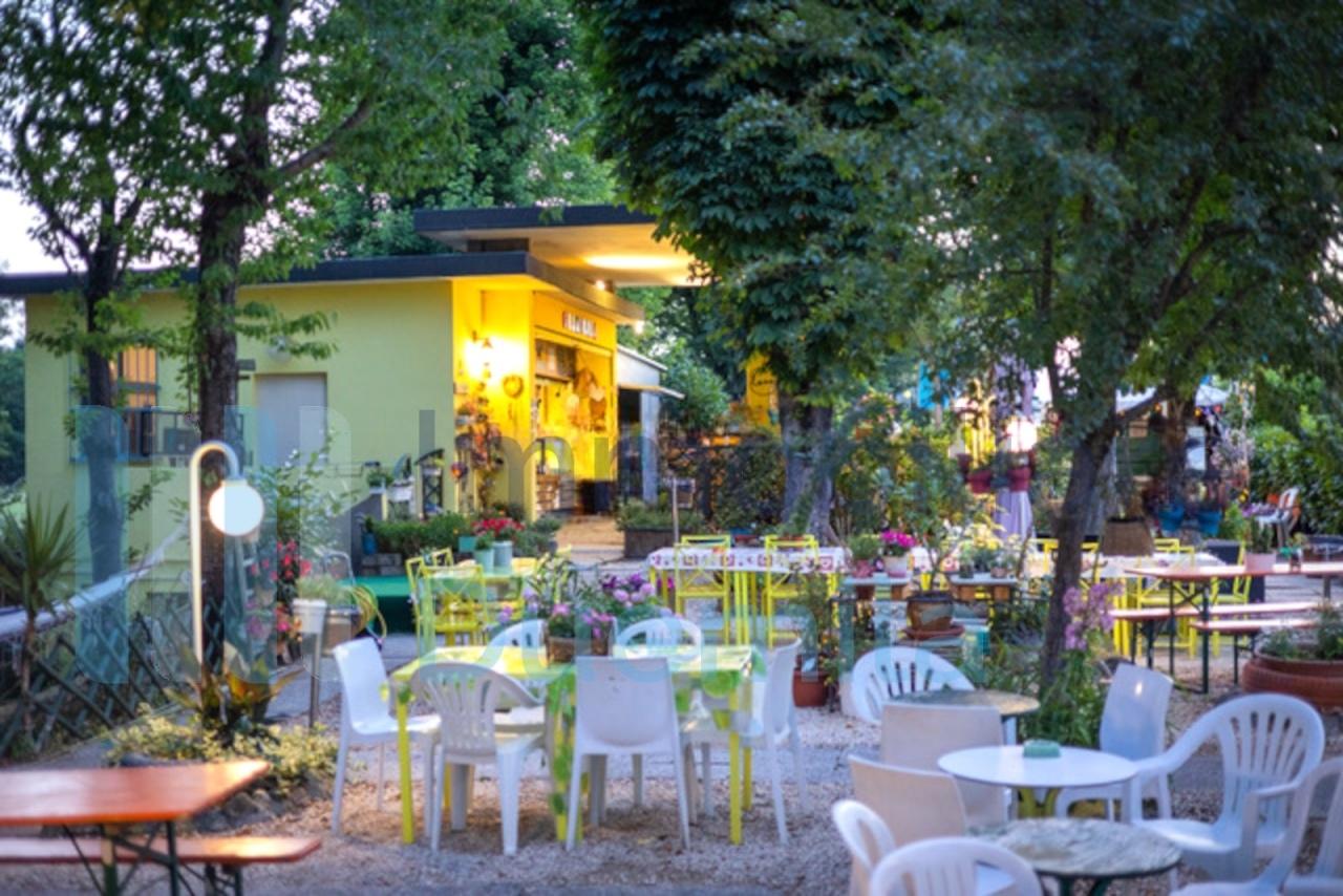 Vendita Trivani, Dozza foto