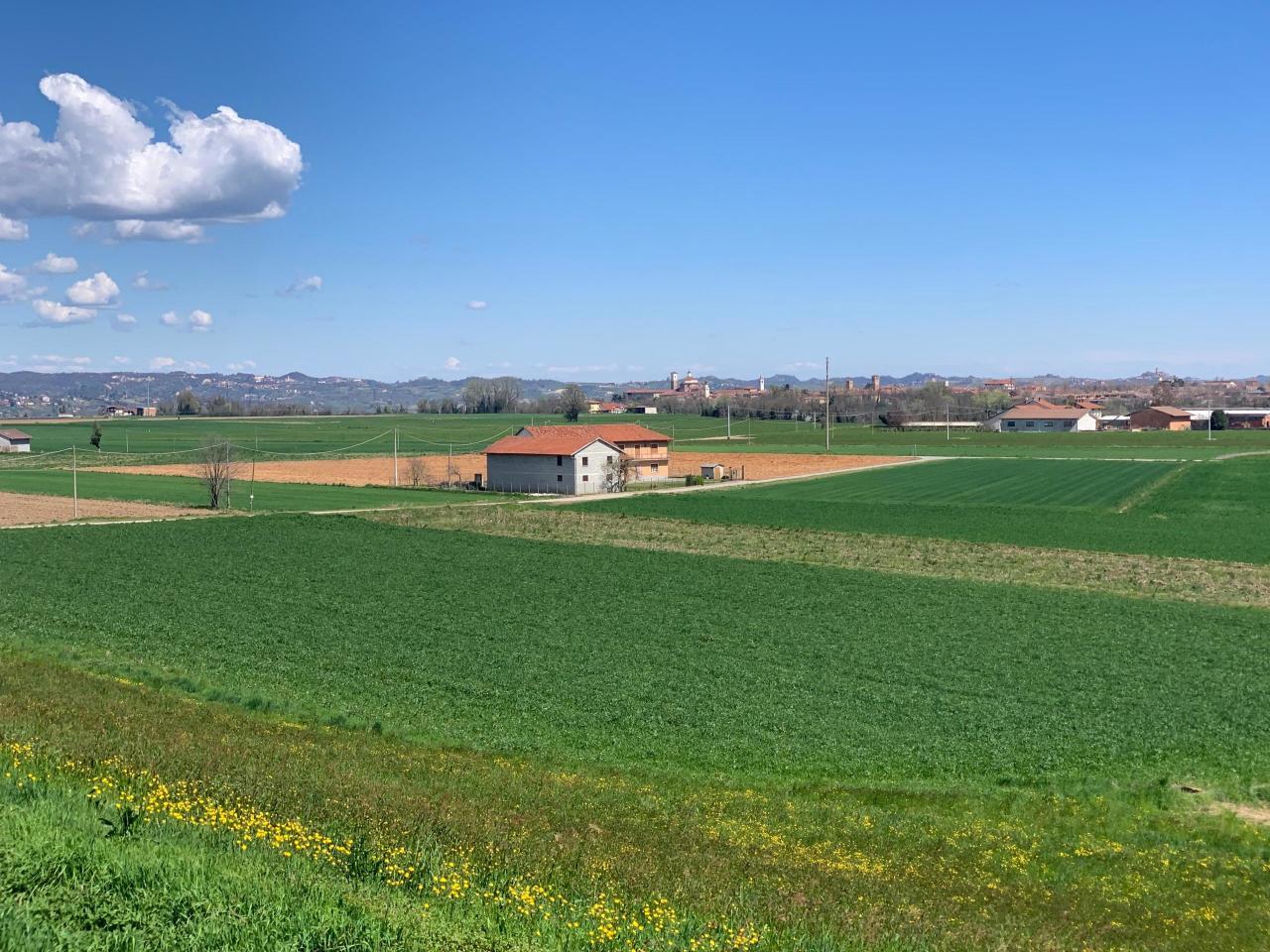 Vendita Multivani, Cherasco foto