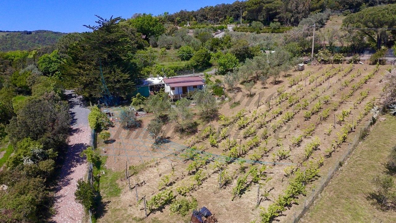 Vendita Monovano, Rosignano Marittimo Vendita Monovano, Rosignano Marittimo foto