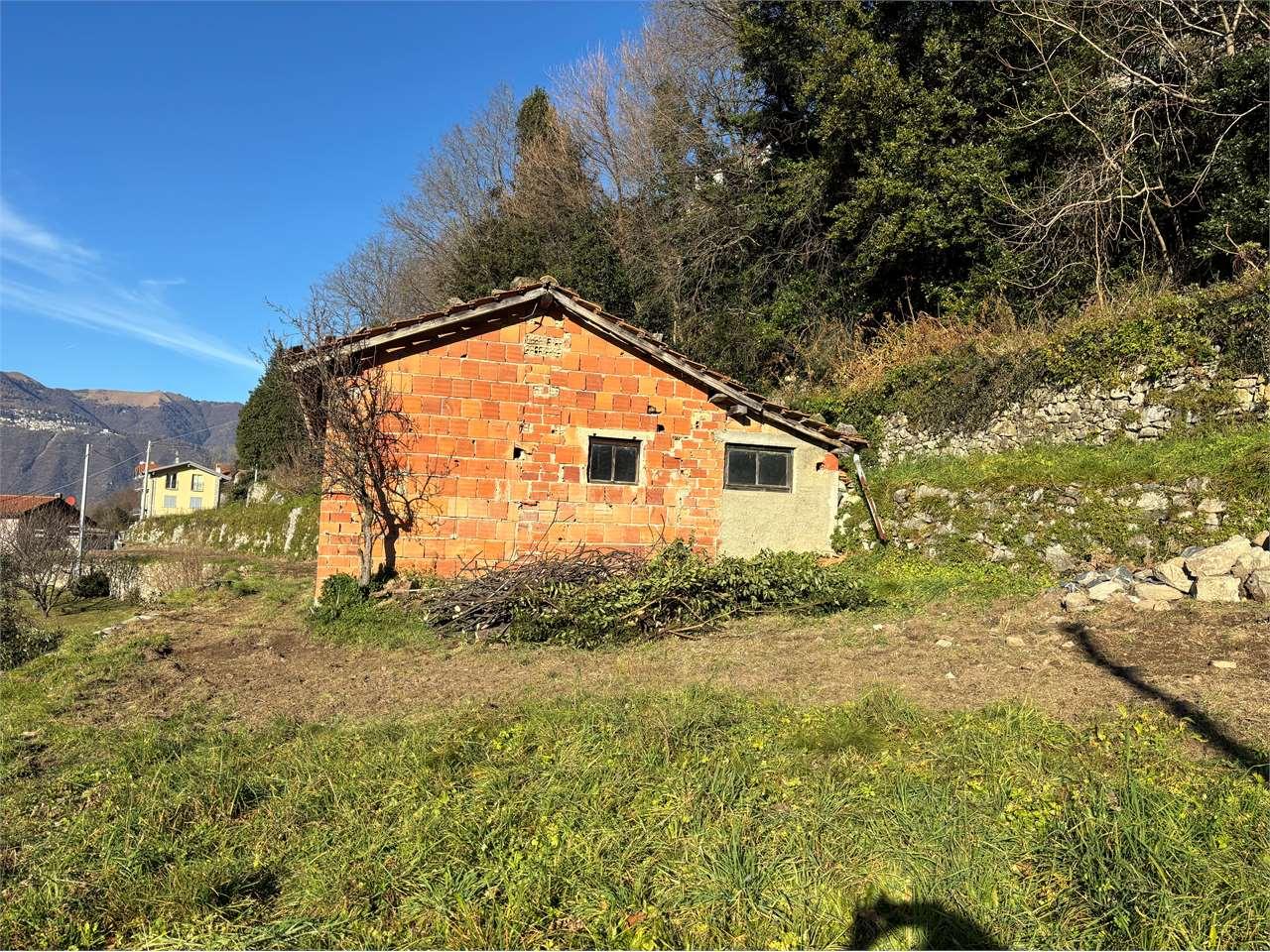 Vendita vendita, Nesso foto