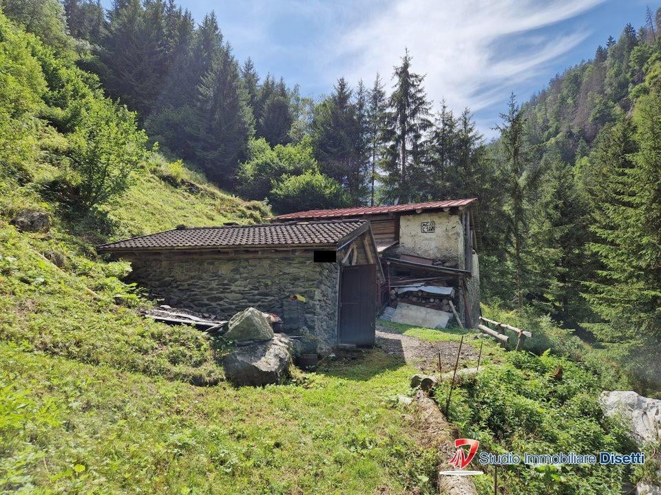 Vendita Trivani, Corteno Golgi foto