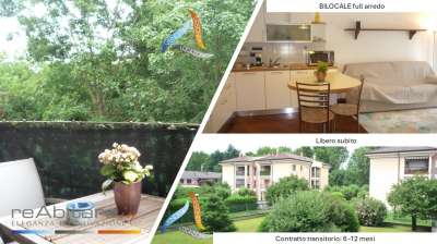 Affitto Appartamento, Arese Affitto Appartamento, Arese