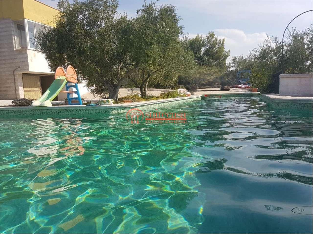 Vendita vendita, Trani foto