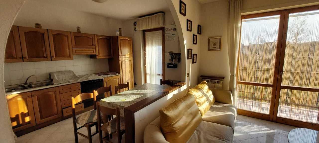 Vendita Esavani, Asciano foto