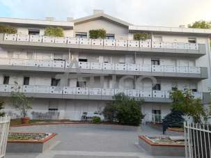 Vendita Bivani, Rovigo