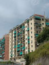 Vendita Quadrivani, Genova