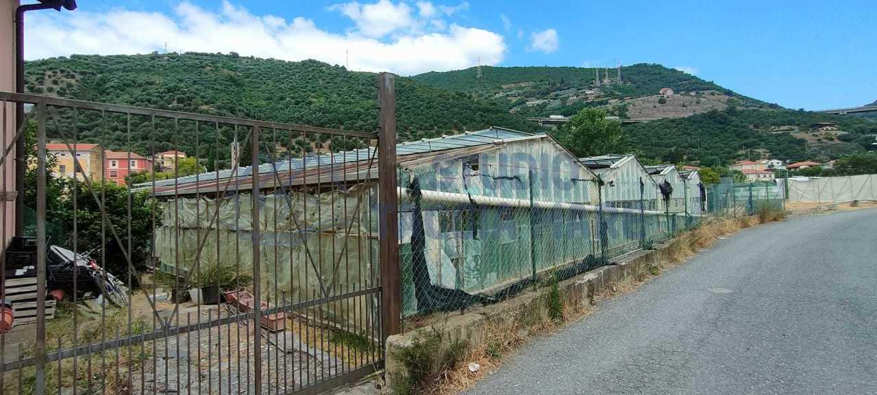 Vendita Monovano, Taggia foto