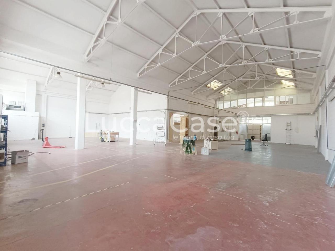 Affitto Capannone, Massarosa Affitto Capannone, Massarosa foto