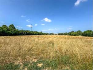 Vendita vendita, Marcallo con Casone Vendita vendita, Marcallo con Casone