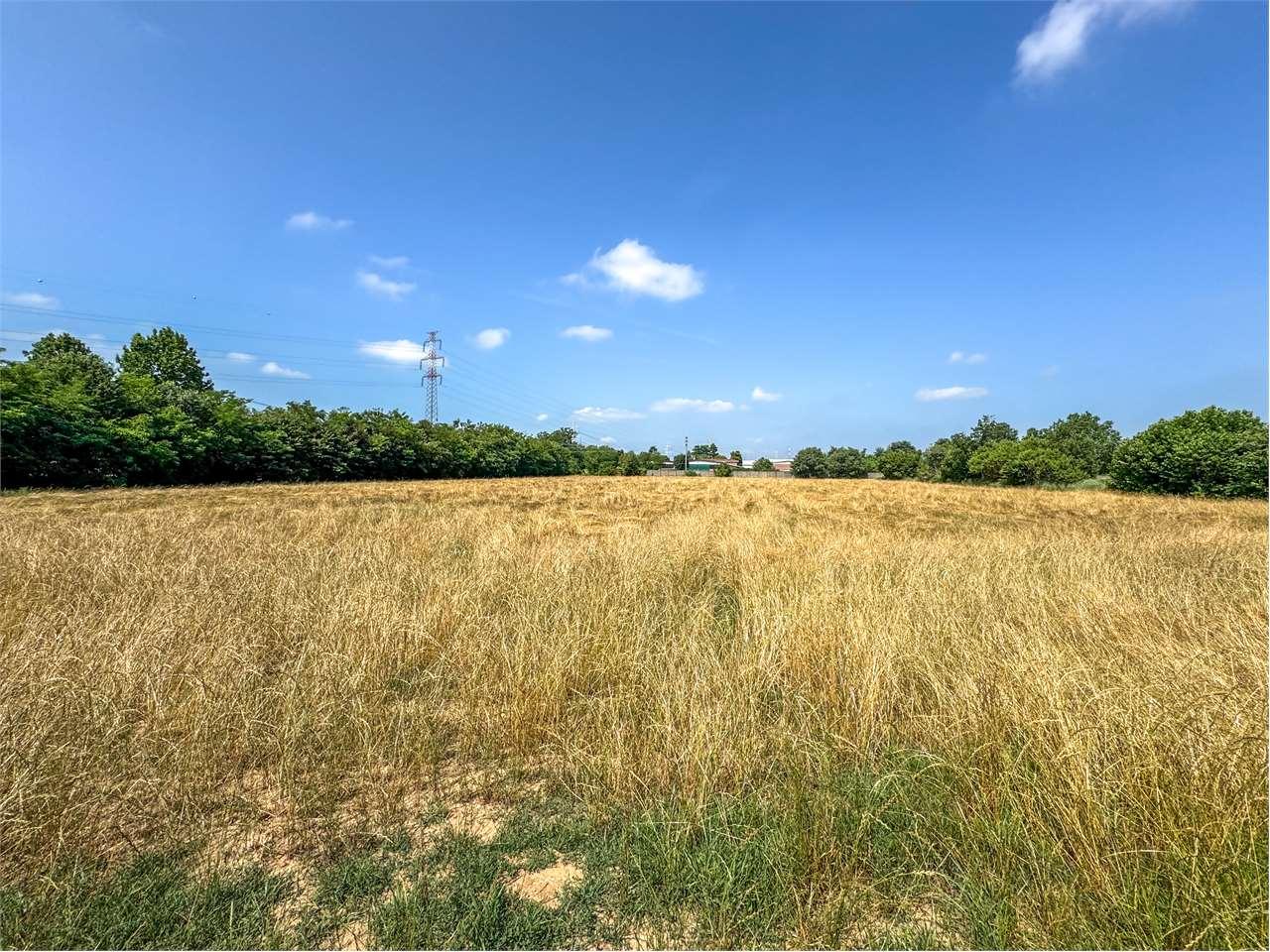 Vendita vendita, Marcallo con Casone Vendita vendita, Marcallo con Casone foto