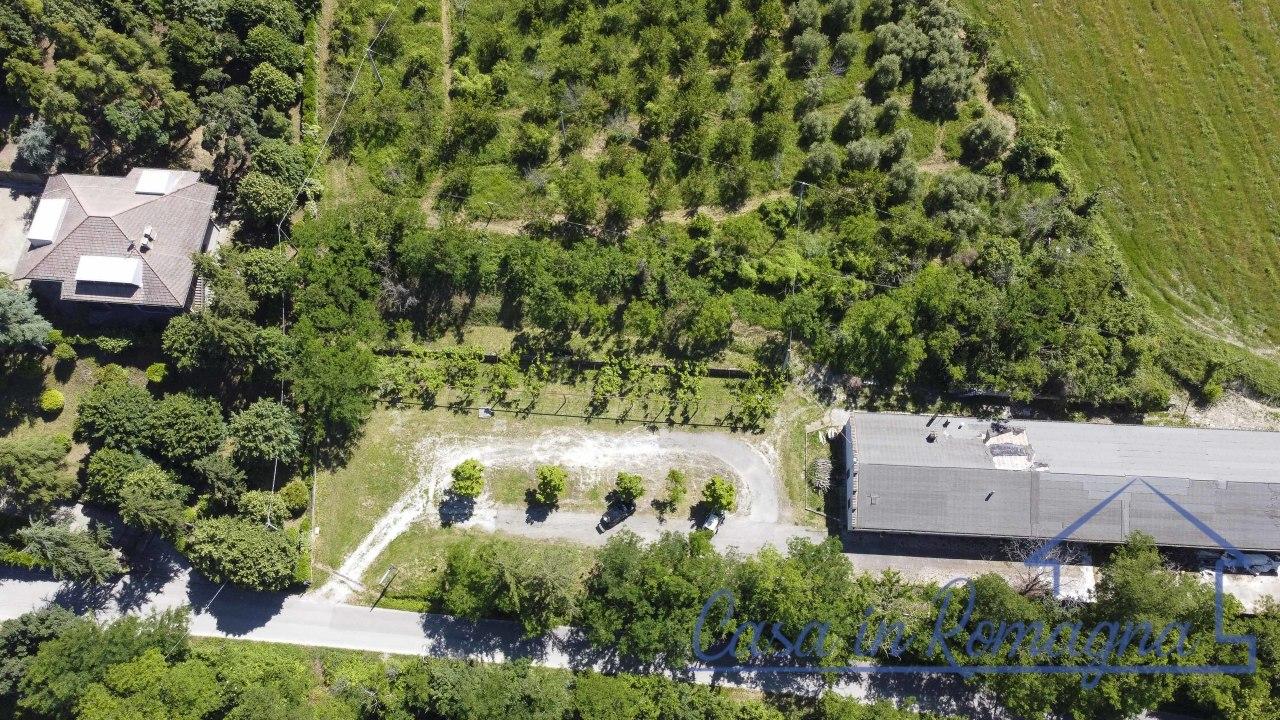 Vendita Bivani, Cesena Vendita Bivani, Cesena foto