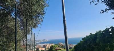 Vendita vendita, Sanremo