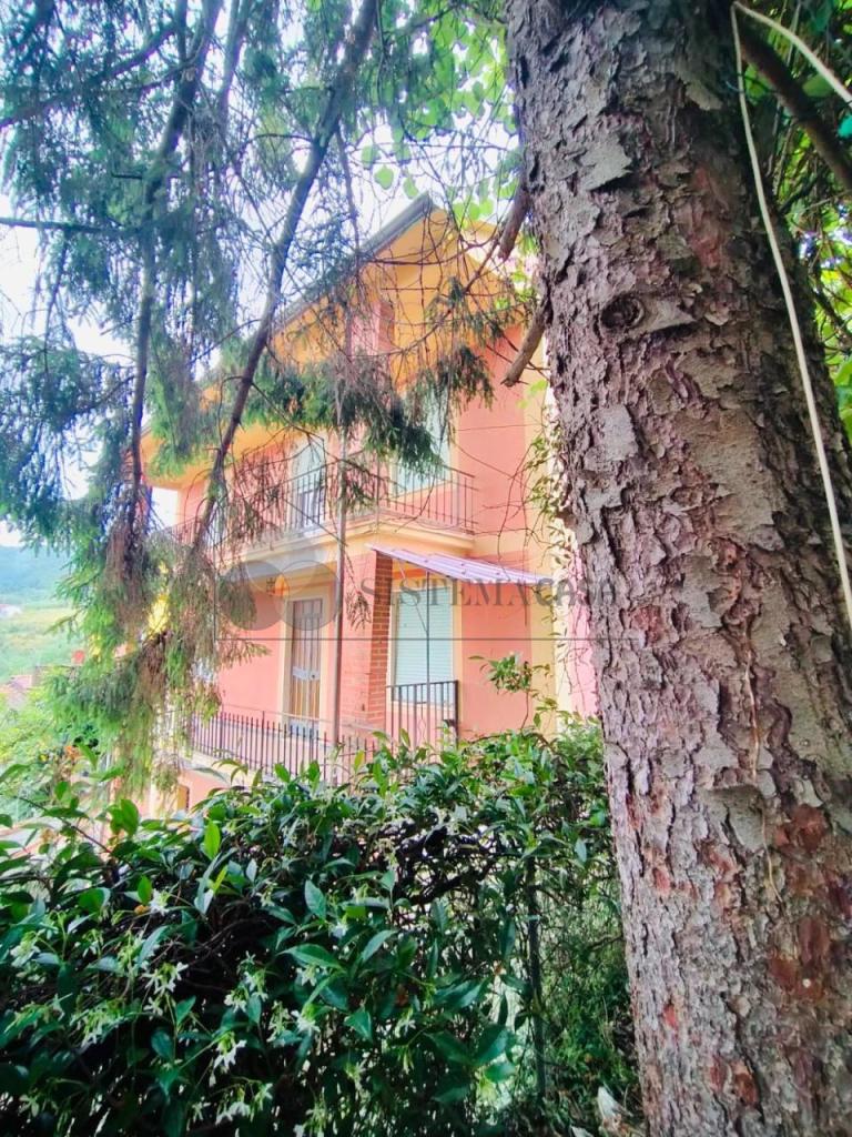 Vendita Multivani, Sarzana foto