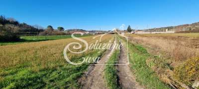 Vendita Terreno, Fauglia Vendita Terreno, Fauglia