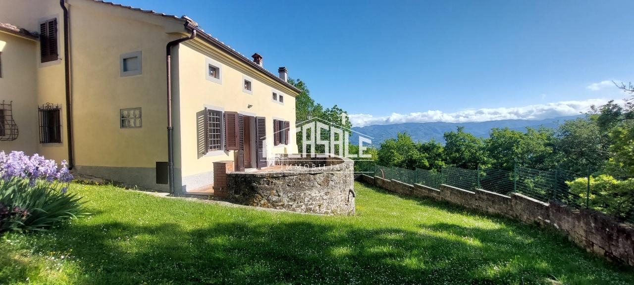Vendita Multivani, Vicchio foto
