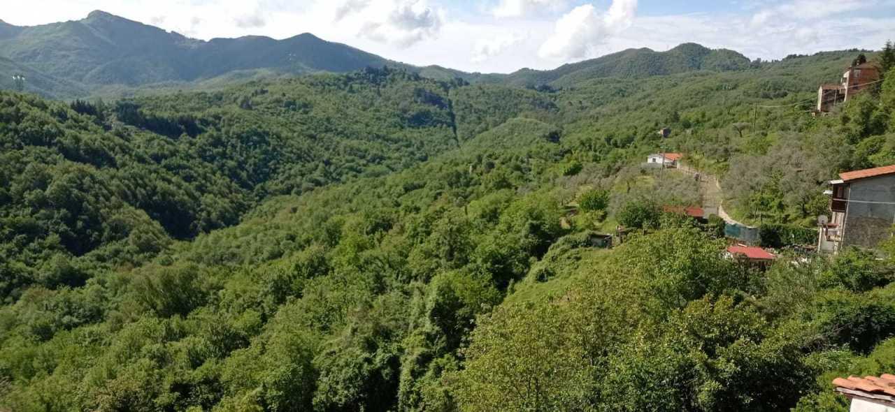Vendita Quadrivani, Fosdinovo Vendita Quadrivani, Fosdinovo foto