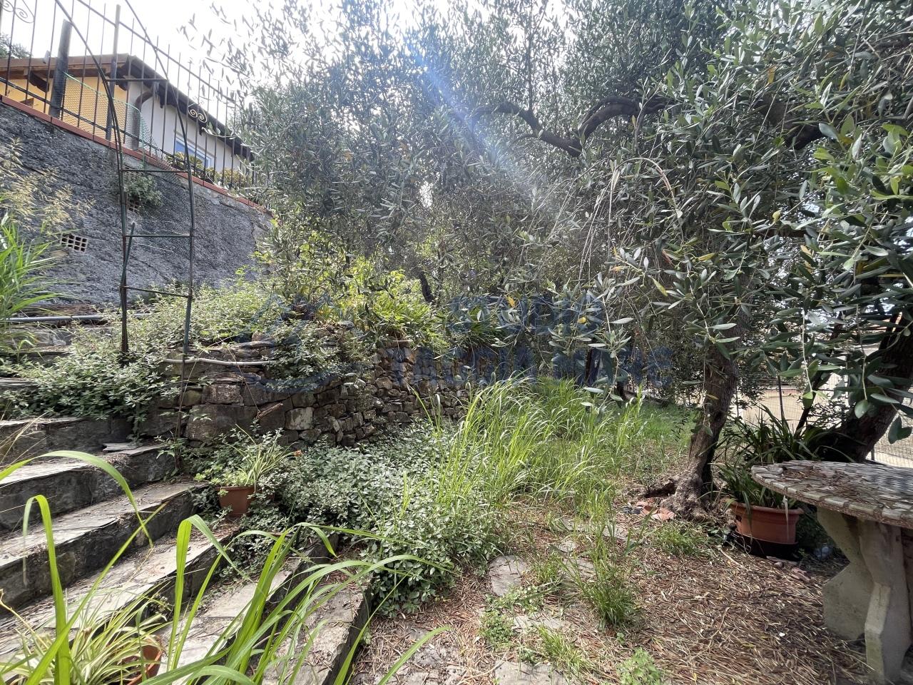 Vendita Trivani, Pompeiana Vendita Trivani, Pompeiana foto