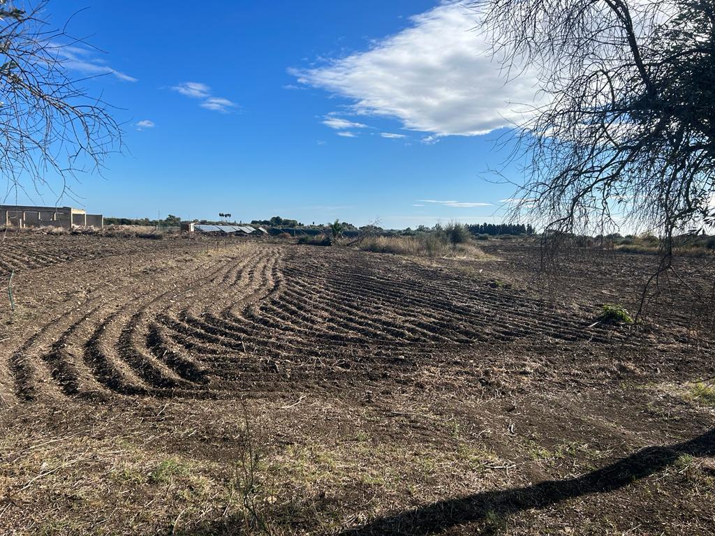 Vendita Terreni, Siracusa foto