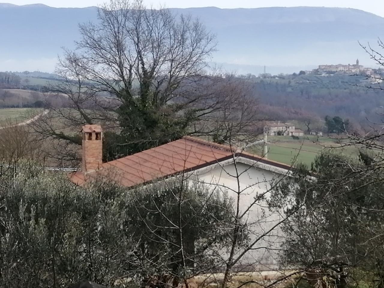 Vendita Trivani, Avigliano Umbro foto