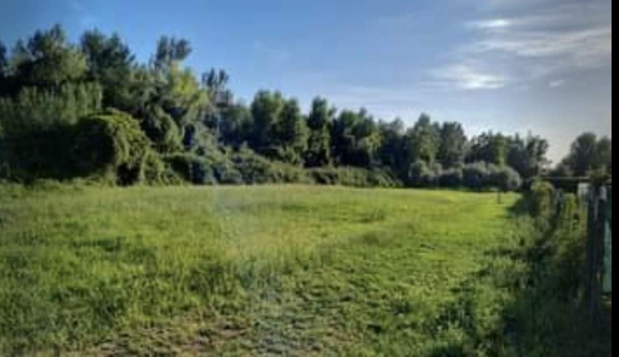 Vendita Terreni, Seravezza Vendita Terreni, Seravezza foto