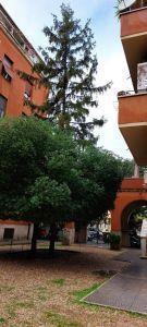 Rent Appartamento, Roma foto