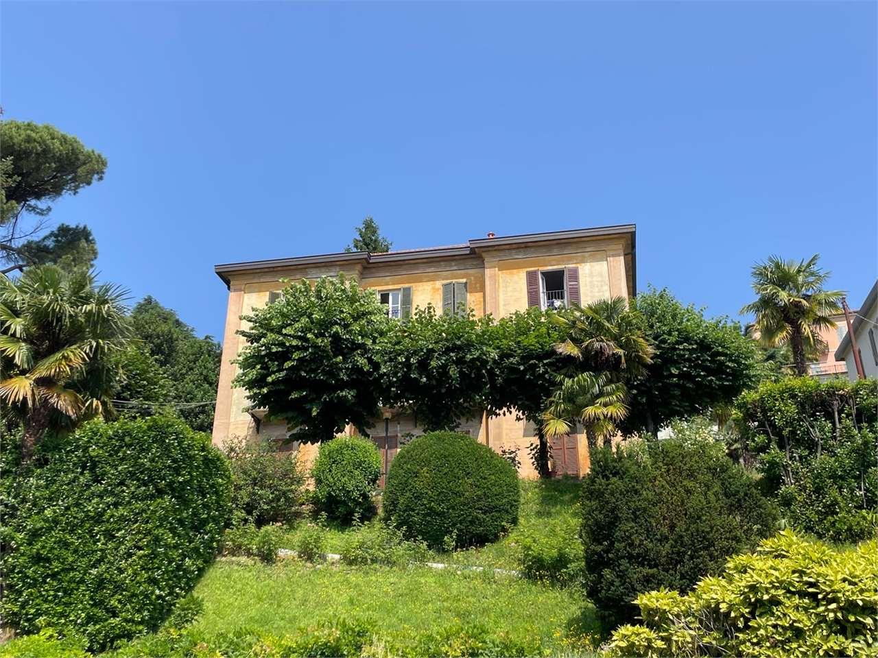 Sale vendita, Erba foto
