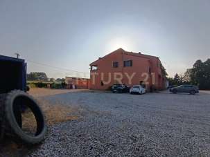 Vendita Multivani, Roncoferraro