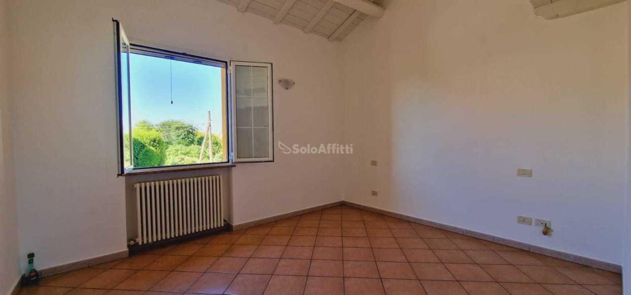Affitto Trivani, Bertinoro foto