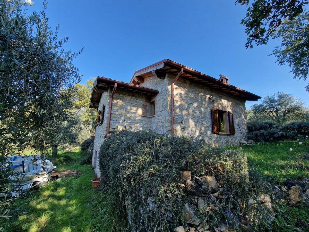 Sale Two rooms, Montecchio foto