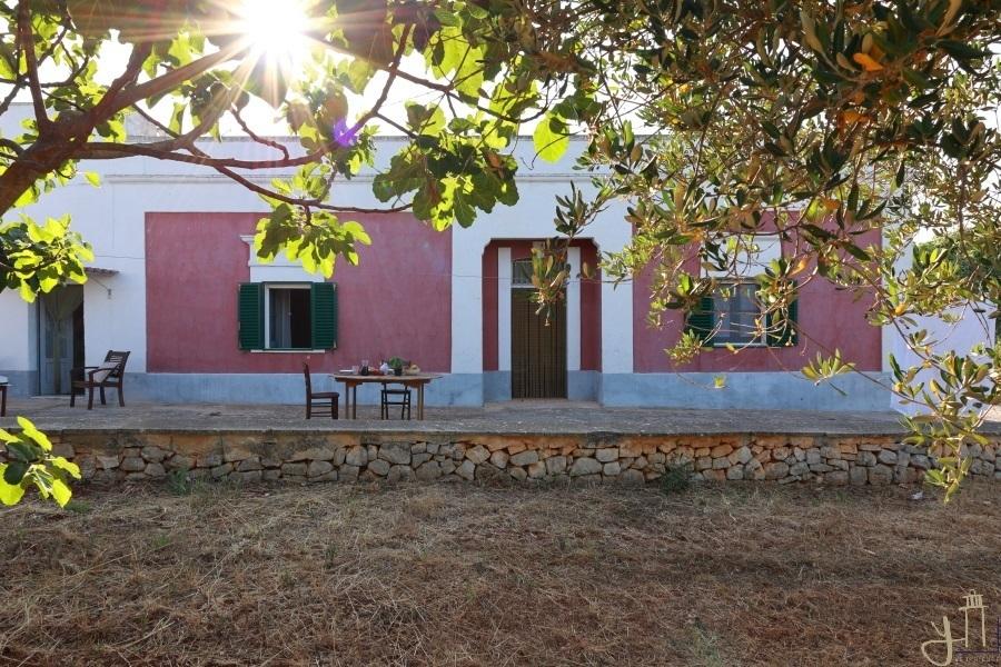 Vendita Esavani, Monopoli Vendita Esavani, Monopoli foto