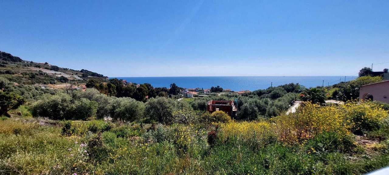 Vendita Trivani, Cipressa foto