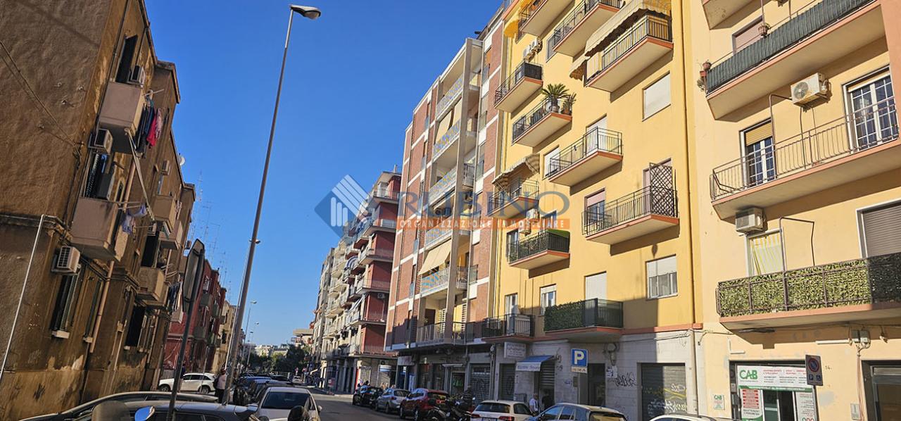 Vendita Quadrivani, Bari foto