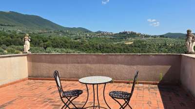 Vendita Multivani, Montecchio