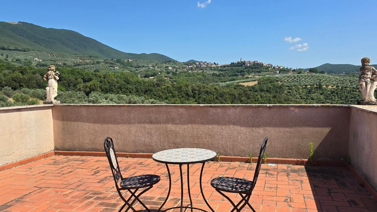 Vendita Multivani, Montecchio Vendita Multivani, Montecchio foto