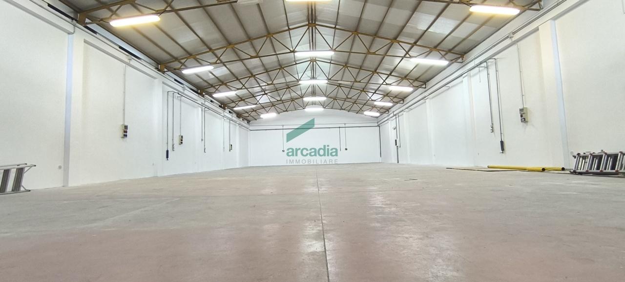 Affitto Monovano, Triggiano Affitto Monovano, Triggiano foto