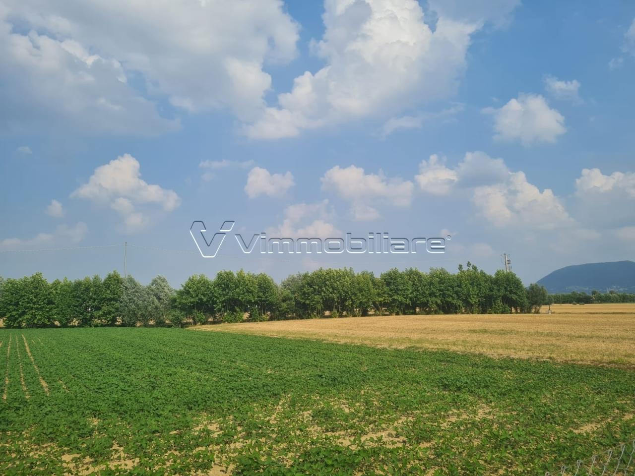 Vendita Terreni, Barbarano Mossano foto