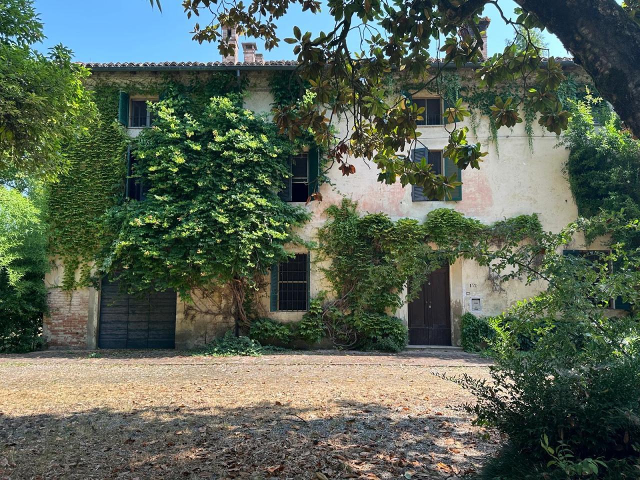 Vendita Case, Polesine Zibello foto