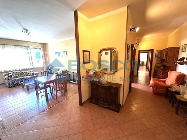 Vendita Pentavani, La Spezia foto