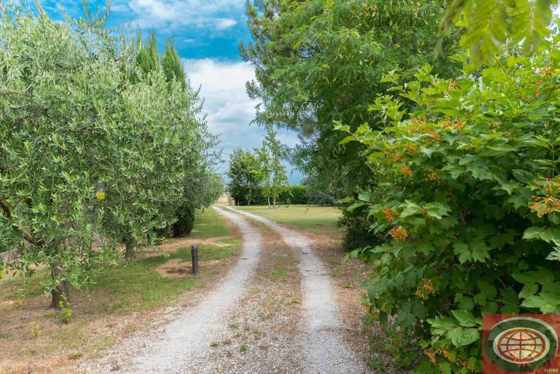 Vendita Rustico / Casale, Cesena foto