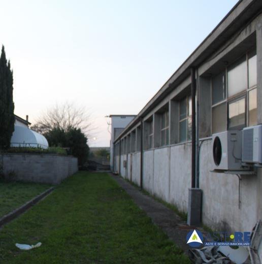 Vendita Multivani, Ponsacco foto