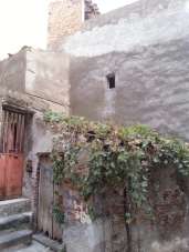 Vendita Trivani, Motta Sant'Anastasia Vendita Trivani, Motta Sant'Anastasia